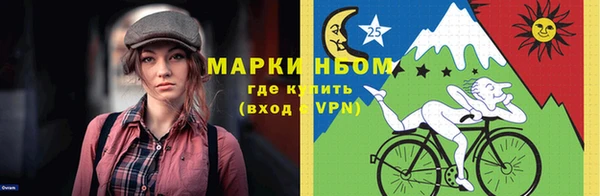 индика Алексин