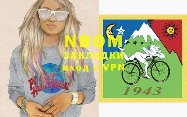 индика Алексин