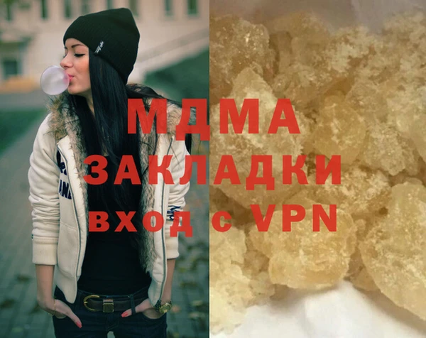 индика Алексин