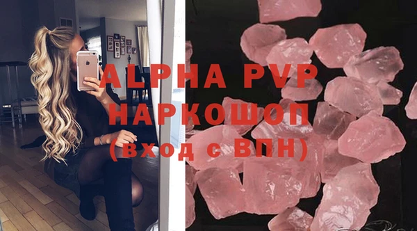 индика Алексин