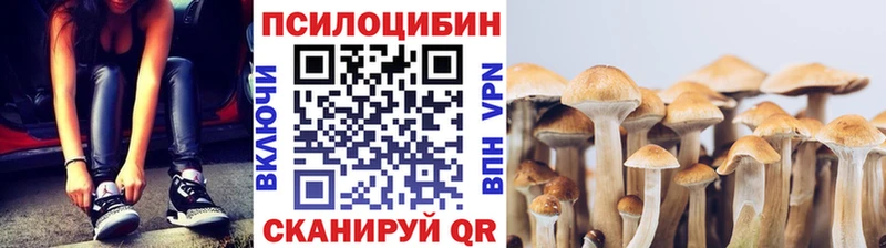 Галлюциногенные грибы GOLDEN TEACHER  где найти наркотики  Нижнеудинск 