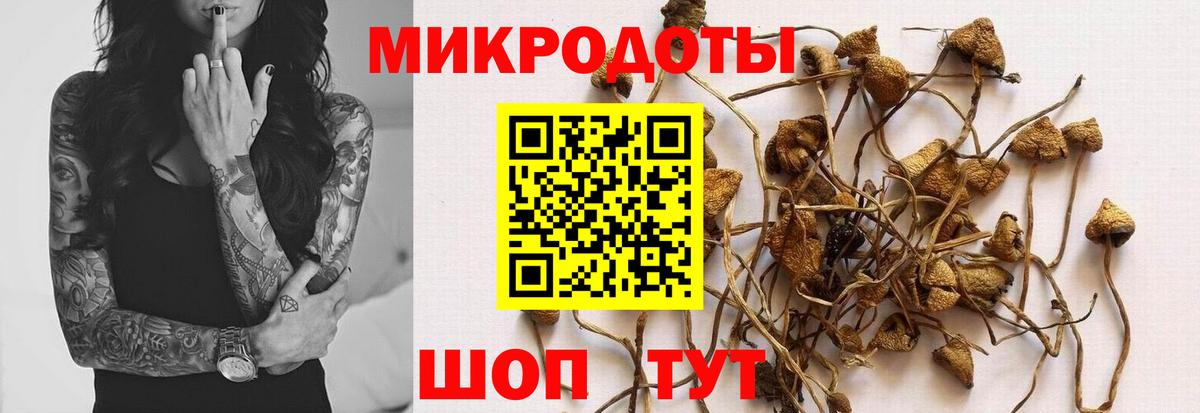 Нижнеудинск  Галлюциногенные грибы Psilocybine cubensis  Вход с VPN 